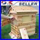 Beekeeping_Box_House_Honeycomb_Harvesting_Tools_Cedarwood_Box_Beekeeping_Brood_01_rpvr