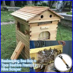 Beekeeping Brood House Box + 7PCS Auto Honey Bee Hive Frames + Hive Scraper UK