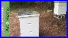 Beekeeping_For_Beginners_Langstroth_Bee_Hives_01_us