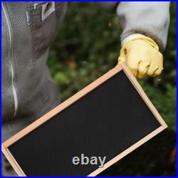 Beekeeping Hive Frame Holders 4Pcs and Pine Wood Set