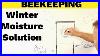 Beekeeping_Moisture_In_Your_Hive_This_Winter_Is_Bad_01_dbf