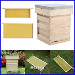 Beekeeping Pine Wooden Bees Brood Box Hive House Frames Kit Beekeeper Honey Tool