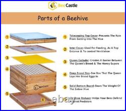 Beekeeping Starter Kit with Beeswax Coated Hives