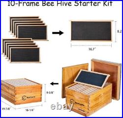 Beekeeping Starter Kit with Beeswax Coated Hives Beekeeping Starter Kit with Beeswax Coated Hives