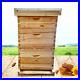 Beekeeping_Starter_Wooden_Beehive_Honey_House_Bee_Hive_Boxes_For_8pc_Auto_Frames_01_qw