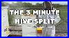 Beekeeping_The_3_Minute_Hive_Split_With_Blake_Shook_01_ptms