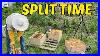 Beekeeping_This_Way_Of_Making_A_Split_Works_So_Well_01_wl