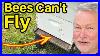 Beekeeping_When_This_Happens_Cowboy_Up_U0026_Take_Your_Lumps_01_zey