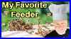 Beekeeping_Which_Feeders_Work_Best_01_rqgr