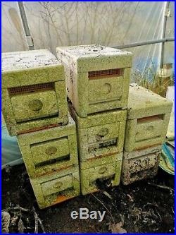 Beekeeping equipment, bee hives national standard