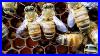 Beginner_Beekeepers_Must_Watch_Still_The_Best_Practices_In_2022_Beginner_Beekeeper_Episode_9_01_vj