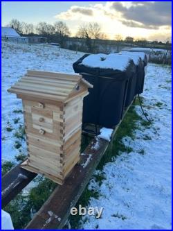 Beginners small garden Wooden 4 Section Auto Honey Harvesting Hive Keeping Bees