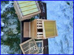 Beginners small garden Wooden 4 Section Auto Honey Harvesting Hive Keeping Bees