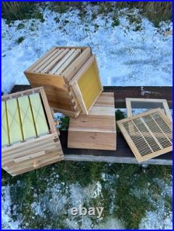 Beginners small garden Wooden 4 Section Auto Honey Harvesting Hive Keeping Bees