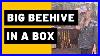 Big_Beehive_In_A_Box_01_mk