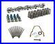 Brian_Tooley_BTR_Stg_4_Truck_Cam_Kit_Beehive_Springs_Seals_Gaskets_Pushrods_01_catr