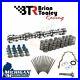 Brian_Tooly_BTR_Truck_Stage_2_CAM_Beehive_Springs_Pushrods_Gaskets_4_8_5_3_6_0_01_zdh