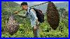 Bring_Wild_Bees_Home_To_Care_For_Them_Because_They_Have_Nothing_Left_To_Eat_01_qpl