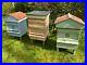 British_National_Bee_Hive_With_Gabled_Roof_01_paq
