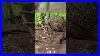 Building_A_Large_Beehive_On_A_Tree_Full_Blind_Part_2_Short_Shorts_Camping_Wildlife_Viral_01_ojr