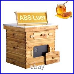 Cedar Bee Hive 20 Frames 1 Full 1 Medium Box Transparent Panel