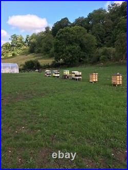 Cedar Bee Hives Complete With Bees