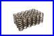 Comp_Cams_26113_24_Beehive_Valve_Springs_for_Ford_4_6L_5_4L_3_Valve_F150_Mustang_01_vydr