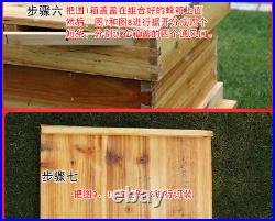 Complete Bee Box Hive Beekeeping Beehive Frame Kit Honey Frames Equipment