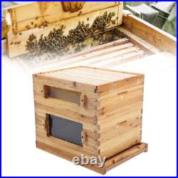 Complete Beehive Kit Wooden Bee Hive Super Box 10 Frame For Beginners