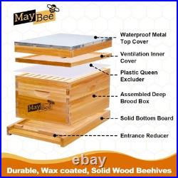 Complete Beehive with Wax Frames, Smoker and Beekeeping Essentials for Beginners