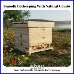 Complete Beekeeping Equipment Fir Wood Hive Box Kit for Bees Starter Beekeepers