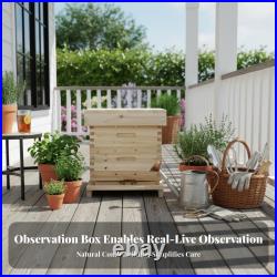 Complete Beekeeping Equipment Fir Wood Hive Box Kit for Bees Starter Beekeepers