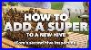Cora_S_Bees_How_To_Add_A_Super_To_A_New_Hive_Inspection_2_Beginner_Beekeeper_Tutorial_01_vq