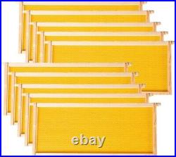 Deep Brood Beehive Frames with Wax Foundation, 10 Pack Honey Bee Frames with 1