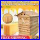 Double_Beehive_Super_Beekeeping_Brood_House_Box_7_Auto_Honey_Bee_Hive_Frames_01_fkhh