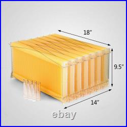 Double Beehive Super Beekeeping Brood House Box or 7x Auto Honey Bee Hive Frames