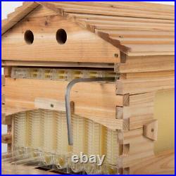 Double Beehive Super Beekeeping Brood House Box with 7 Auto Honey Bee Hive Frames