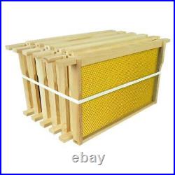 FULL Beginners Kit British National Bee Hive Gabled Roof only need to buy bees