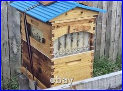 Flow Hive / Langstroth Beehive With Extras