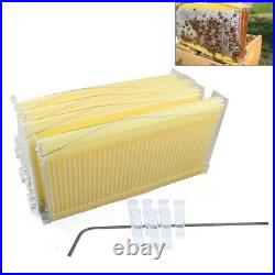 Food-grade Honey Hive Frames Beekeeping Beehive Livestock Supplies+8x Tubes