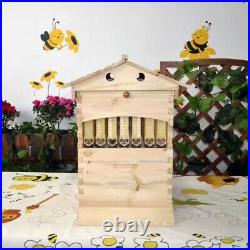 Food-grade Honey Hive Frames Beekeeping Beehive Livestock Supplies+8x Tubes