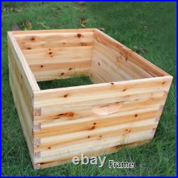 Free Flowing Honey Hive Beehive Frames+Beekeeping Brood Cedarwood 7 PCS Box Set