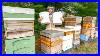 Harvesting_90kg_Of_Spring_Honey_This_Is_Where_Honey_Comes_From_01_ut