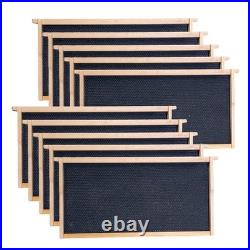 High-Quality 9-1/8-Inch Beehive Frames with Black Beeswax Foundation 10 Pack