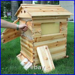 High Quality Fir Beehive Auto Beekeeping Box with 7pcs Hive Frames UK