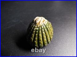 Hirado ware, beehive-shaped, Trick Netsuke, Sagemono, inro, rare