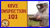 Hive_Inspection_Learn_How_To_Perform_A_Spring_Hive_Inspection_01_snc