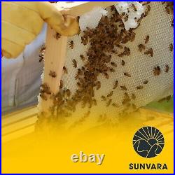 Honey Bee Boxes Bee Hives Boxes 10 Frame 9-5/8 Deep Hive Box Bee Boxes for Sale