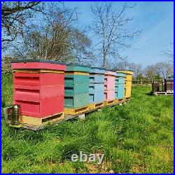 Honey Bee Nucleus Colony Box Hive 2023