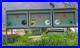 Honey_Bee_Nucleus_Hive_Colony_Box_Overwintered_01_xfuy
